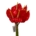 Flores Falsas