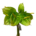 Plantas Falsas