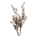 Plantas Falsas