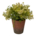 Flores Falsas